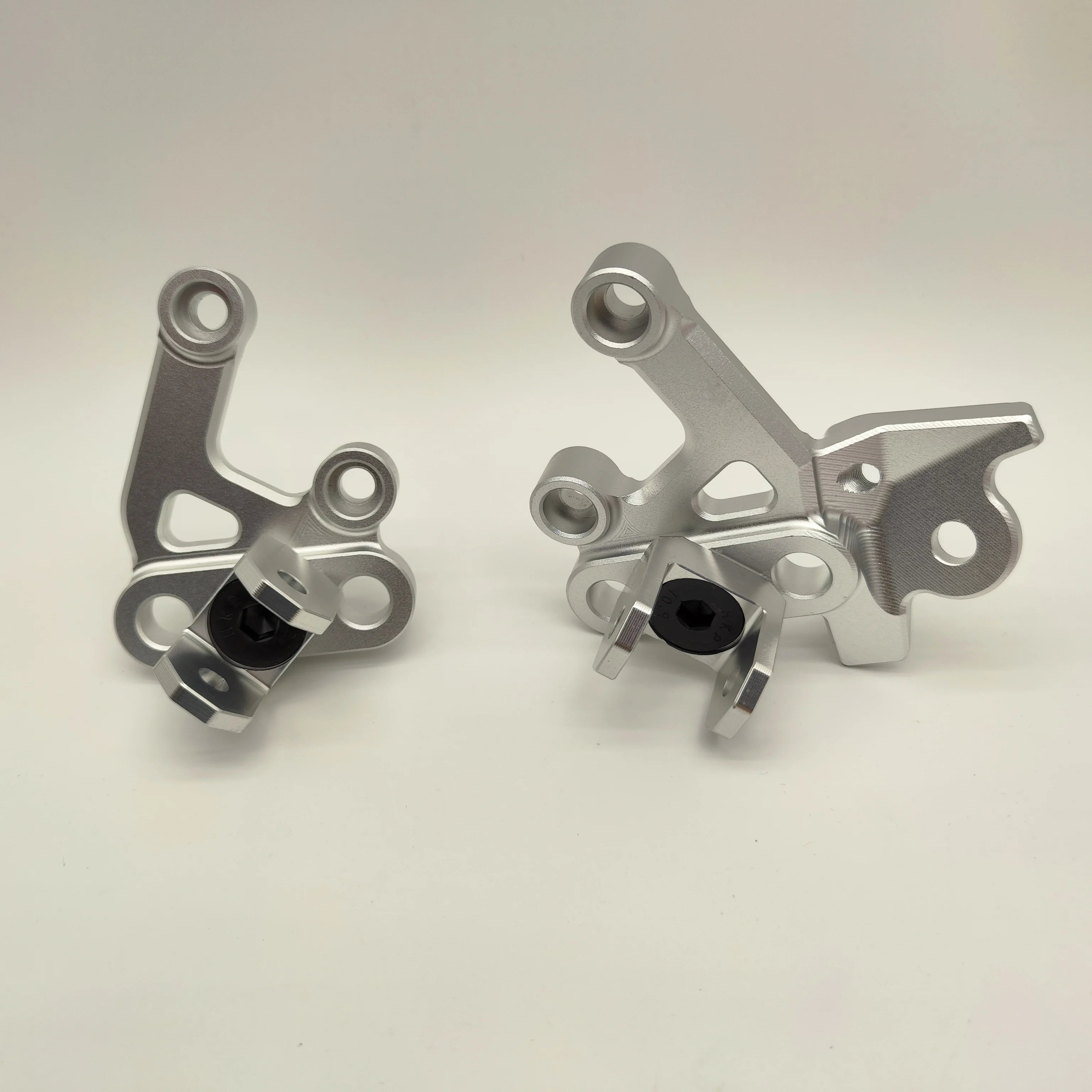 Peg Mounts for E-Ride Pro